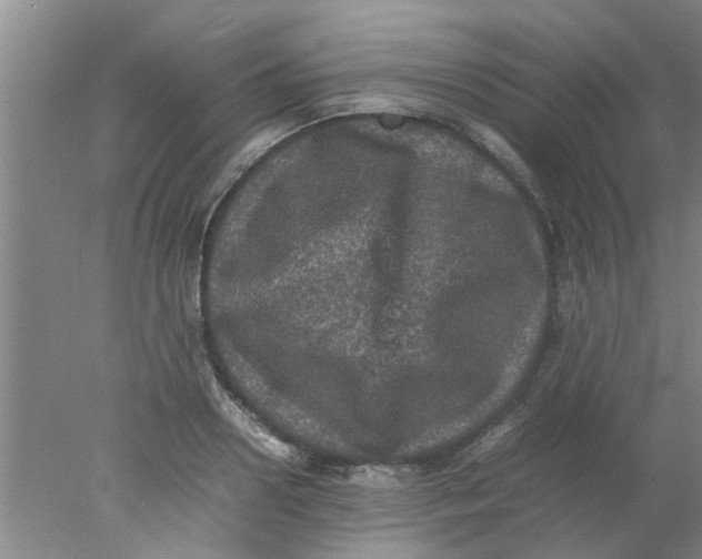 X0000078020938200611171909