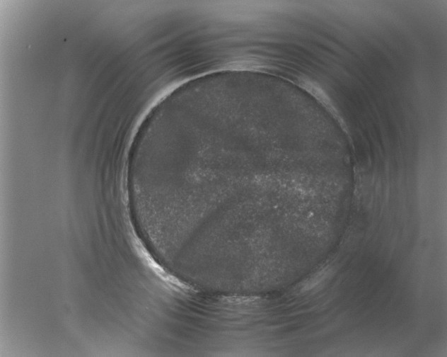 X0000078020939200611171909