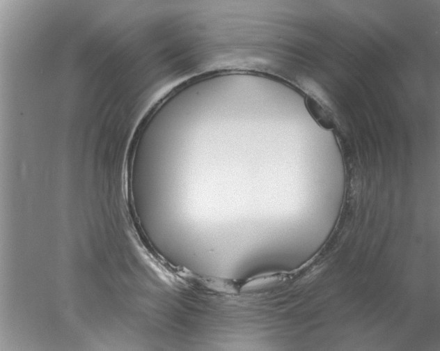 X0000078020940200611171909