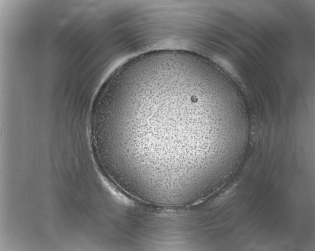 X0000078020942200611171909