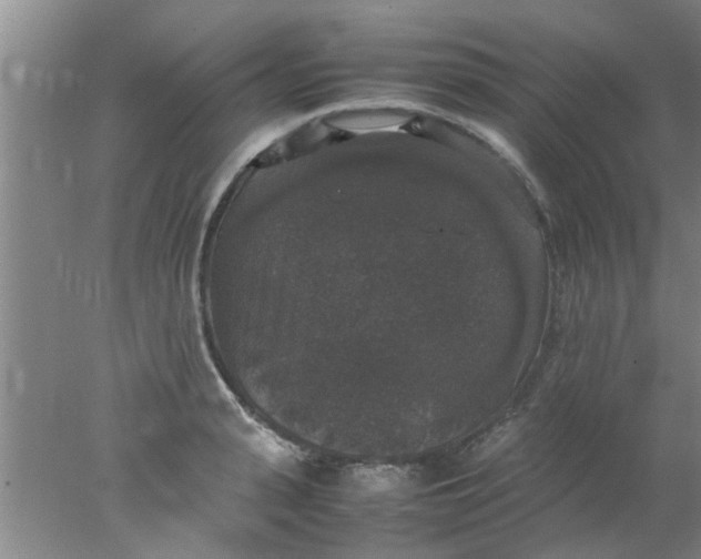 X0000078020943200611171909