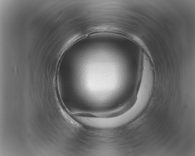 X0000078020946200611171909