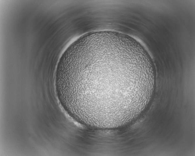 X0000078020949200611171909