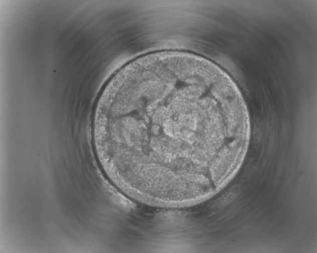 X0000078020950200611171909