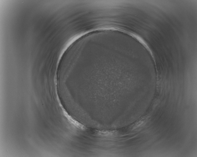 X0000078020951200611171909