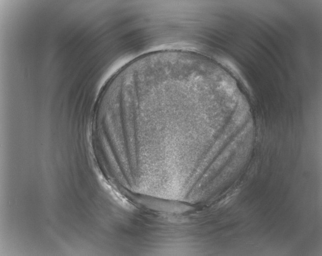 X0000078020952200611171909