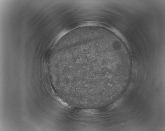 X0000078020953200611171909