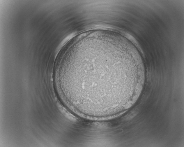 X0000078020954200611171909