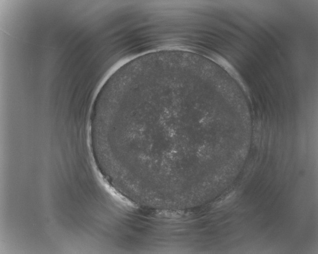 X0000078020955200611171909