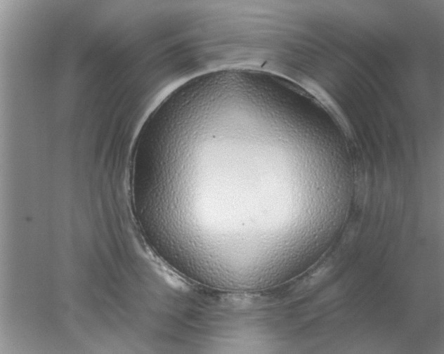 X0000078020956200611171909