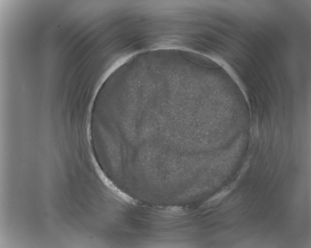 X0000078020957200611171909