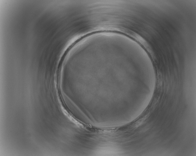 X0000078020958200611171909