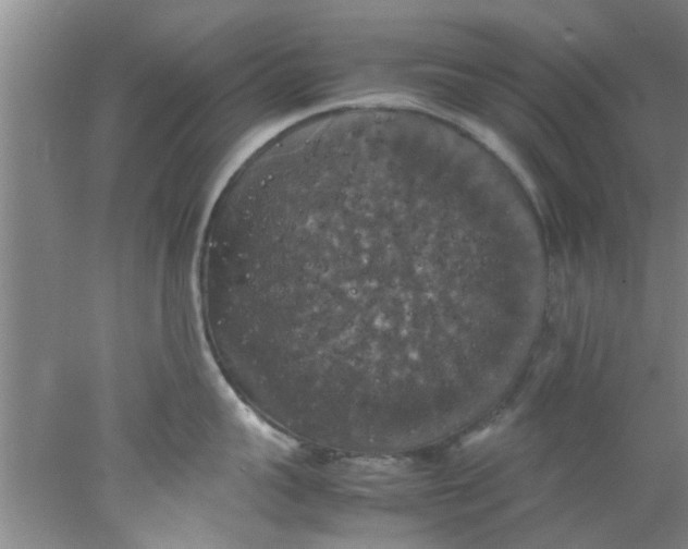 X0000078020959200611171909