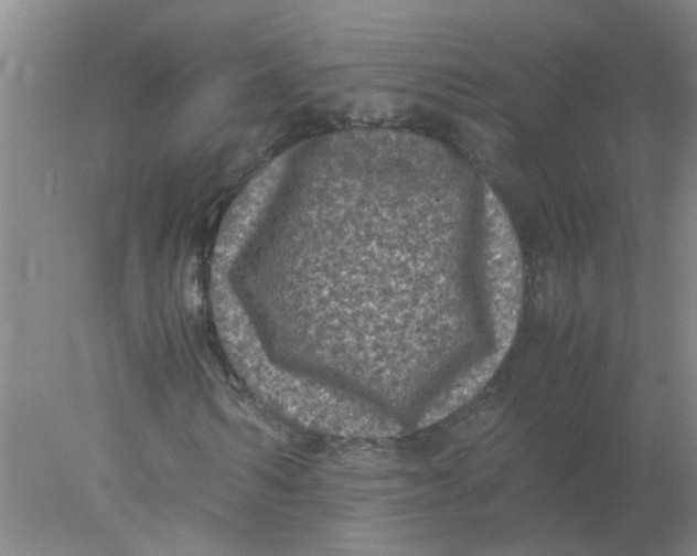 X0000078020962200611171909