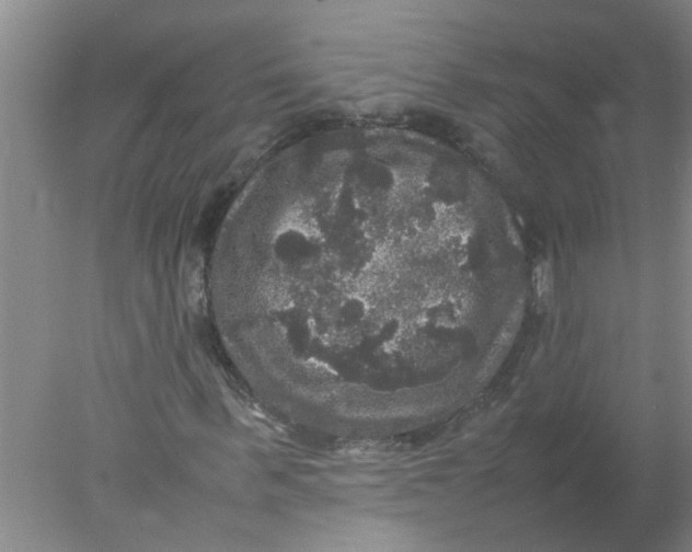 X0000078020963200611171909