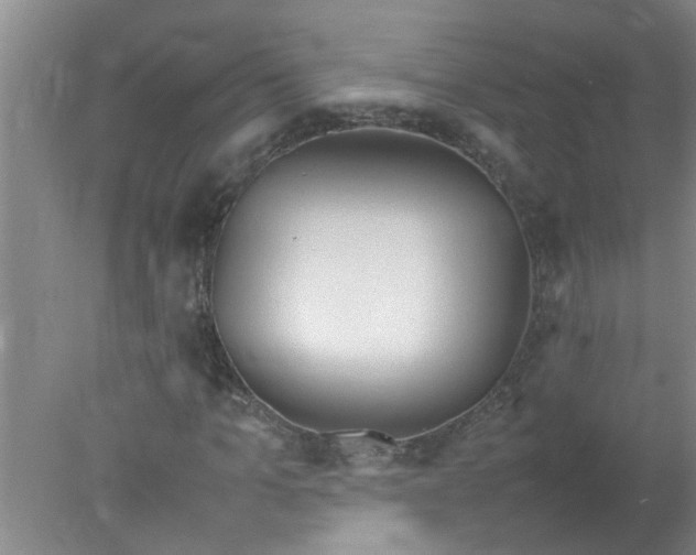 X0000078020965200611171909