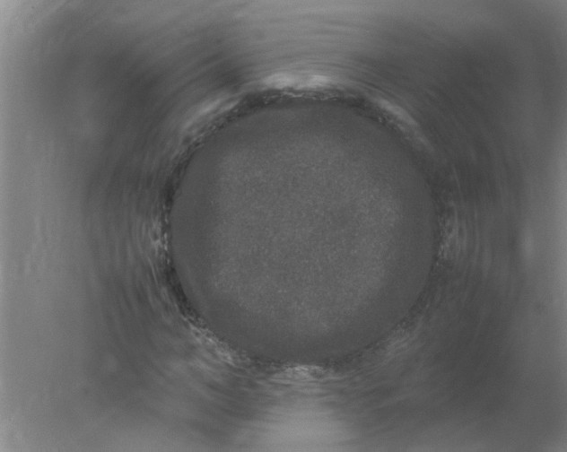 X0000078020966200611171909