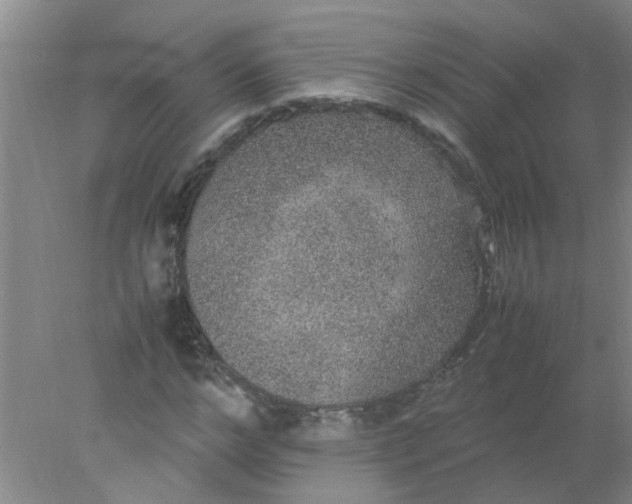 X0000078020968200611171908