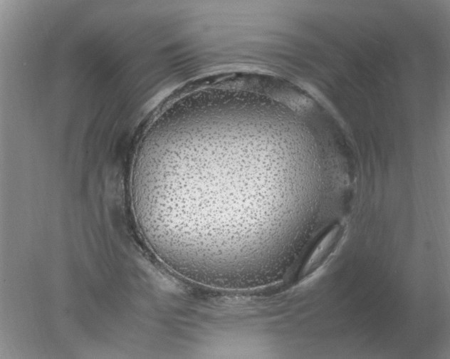 X0000078020969200611171908