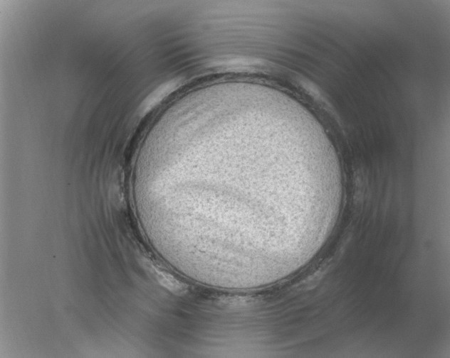 X0000078020970200611171908