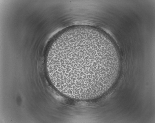 X0000078020971200611171908