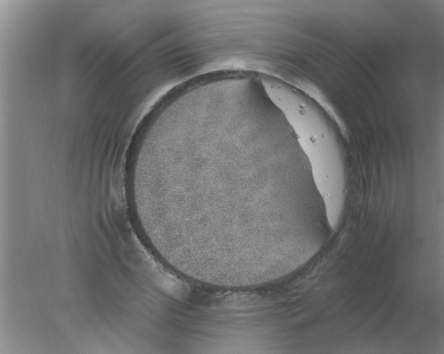 X0000078020972200611171908