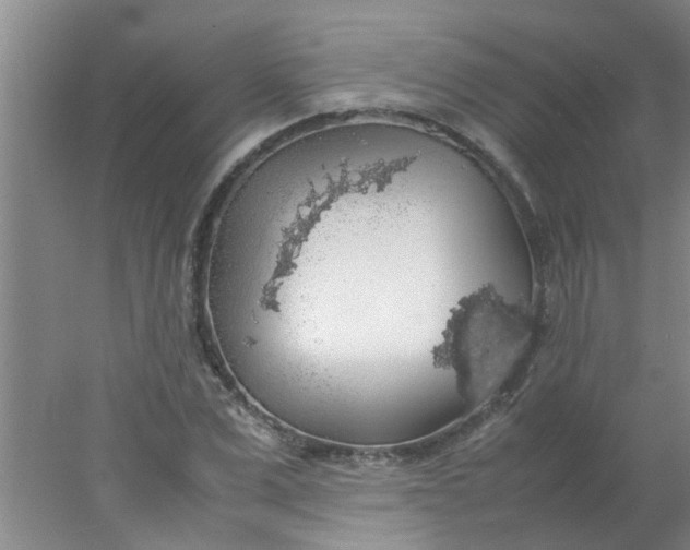 X0000078020975200611171908