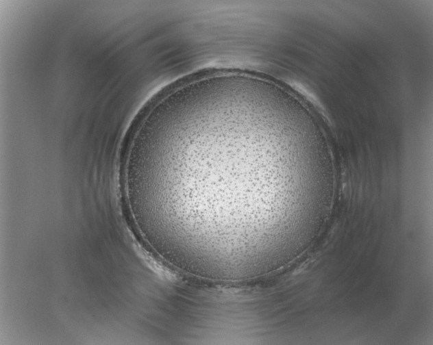 X0000078020976200611171908