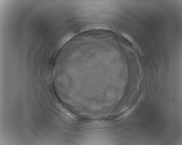 X0000078020977200611171908