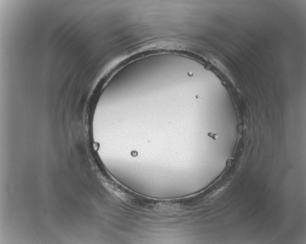 X0000078020981200611171908