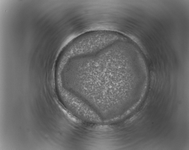 X0000078020982200611171908