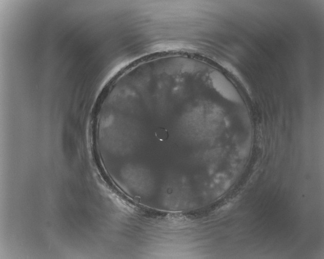 X0000078020983200611171908