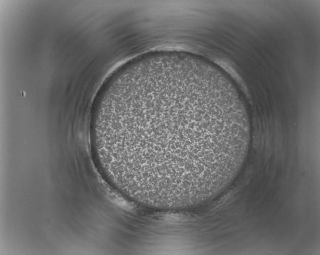 X0000078020984200611171908