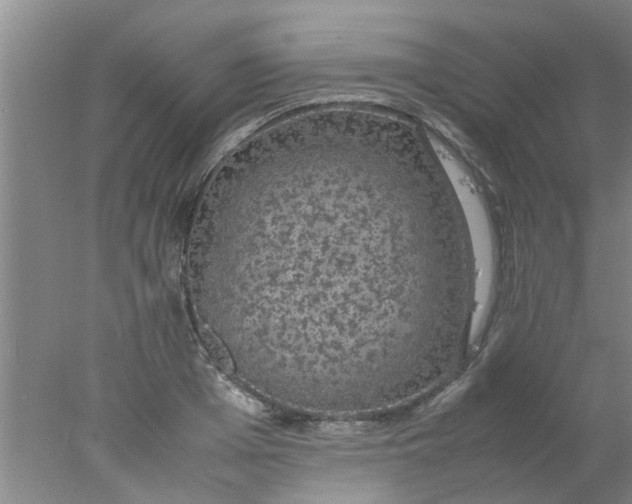 X0000078020985200611171908