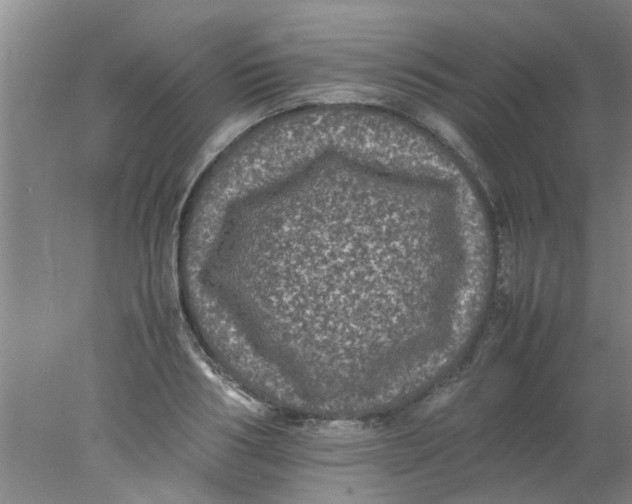 X0000078020986200611171908