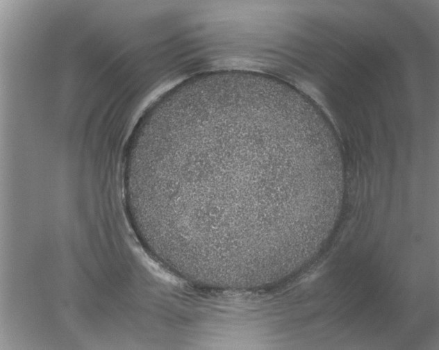 X0000078020987200611171908