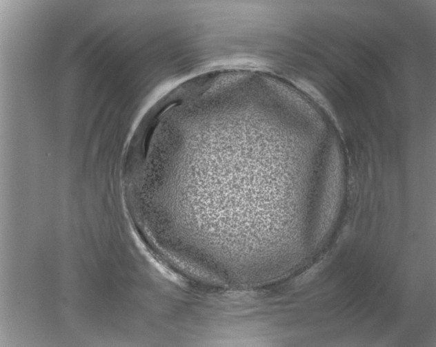 X0000078020989200611171908