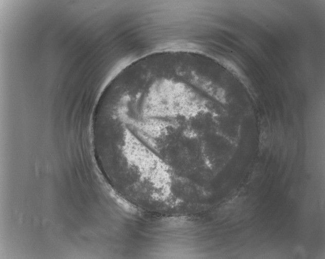 X0000078020990200611171908