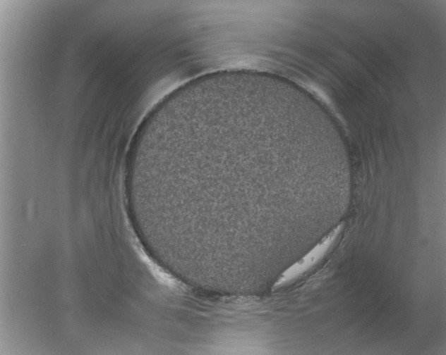 X0000078020991200611171908