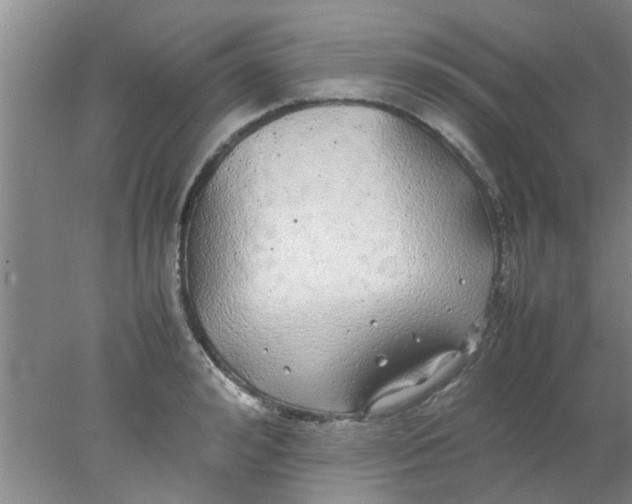 X0000078020992200611171908