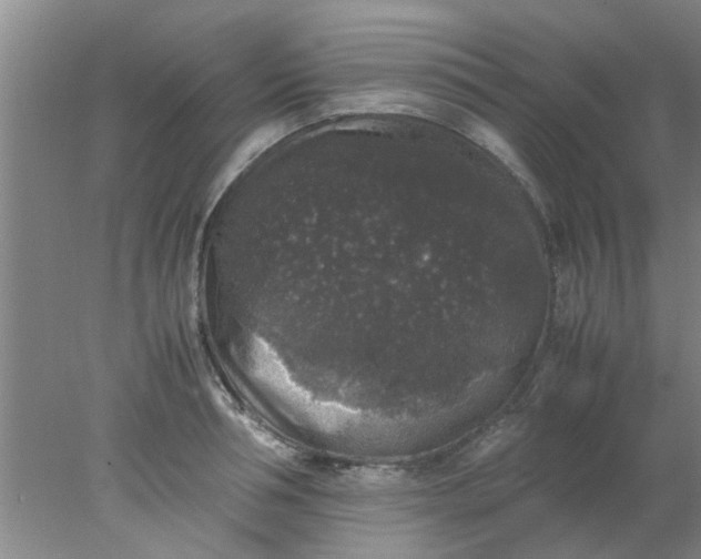 X0000078020994200611171908