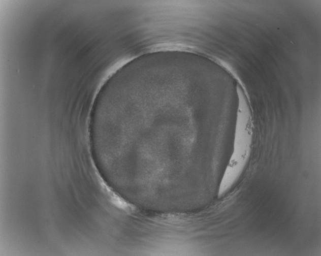 X0000078020995200611171908