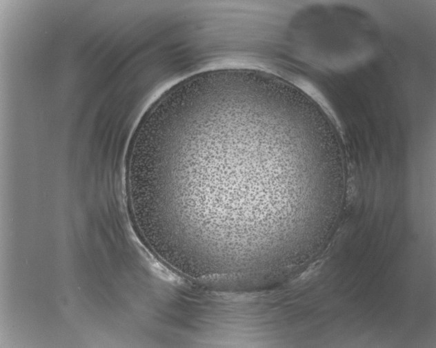 X0000078020996200611171908