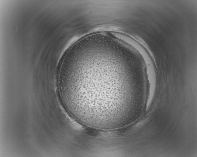 X0000078020997200611171908