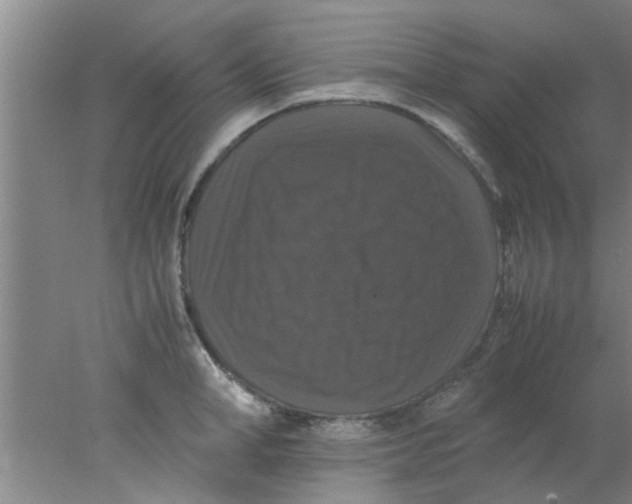 X0000078020998200611171908