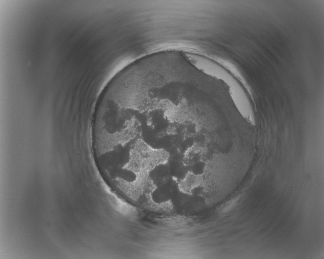 X0000078020999200611171908