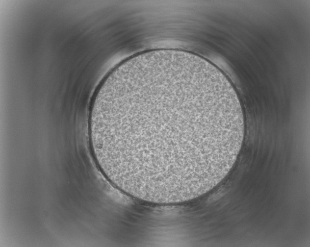 X0000078021000200611171908