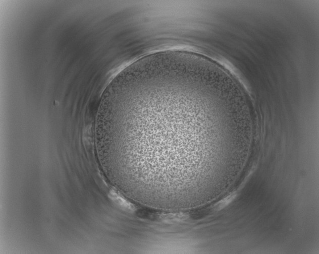 X0000078021001200611171908