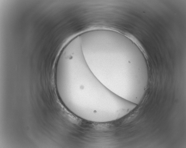 X0000078021004200611171908