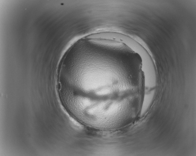 X0000078021005200611171908